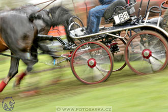 Rudolfův pohár 2017 - marathon sobota