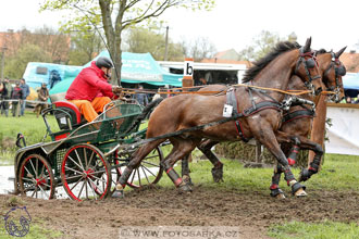 Rudolfův pohár 2017 - marathon sobota