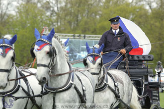 Rudolfův pohár 2017 - parkur neděle