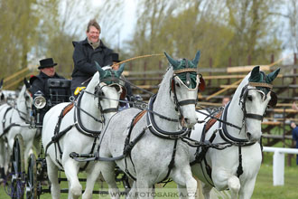 Rudolfův pohár 2017 - parkur neděle