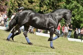 SLATIŇANSKÉ POZASTAVENÍ