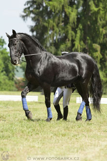 SLATIŇANSKÉ POZASTAVENÍ