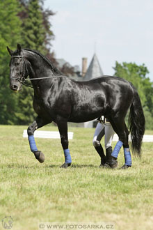 SLATIŇANSKÉ POZASTAVENÍ