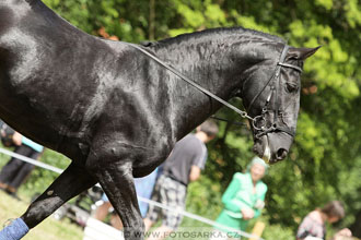 SLATIŇANSKÉ POZASTAVENÍ