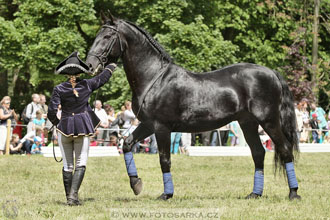 SLATIŇANSKÉ POZASTAVENÍ