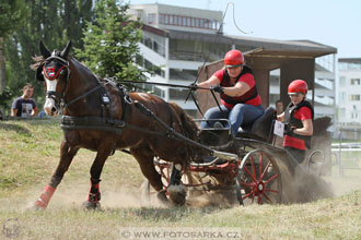 spřežení Pardubice