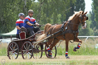 spřežení Pardubice