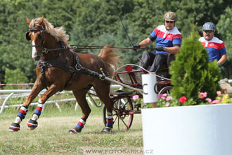 spřežení Pardubice