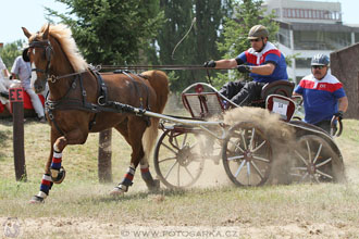 spřežení Pardubice