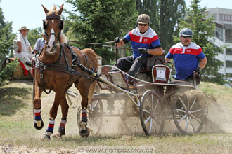 spřežení Pardubice