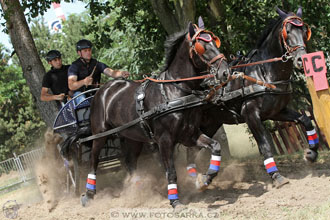 spřežení Pardubice