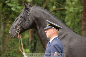 Starokladrubský vraník
