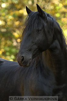 Starokladrubský vraník