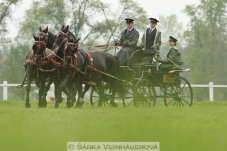 Starokladrubští vraníci