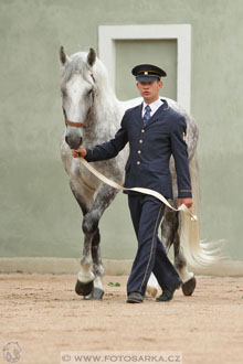 Velký jezdecký den