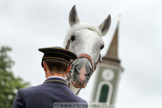 Velký jezdecký den