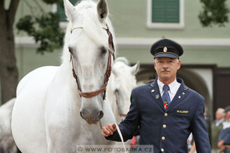 Velký jezdecký den
