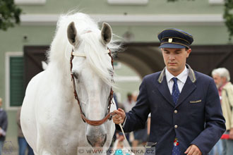 Velký jezdecký den