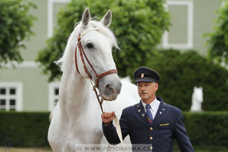 Velký jezdecký den