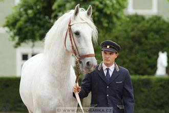 Velký jezdecký den