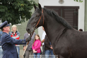 Velký jezdecký den