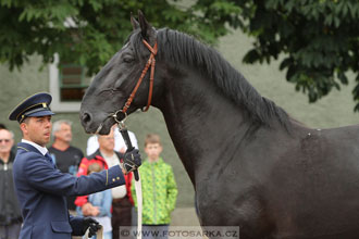 Velký jezdecký den