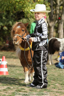 Výstava minihorse