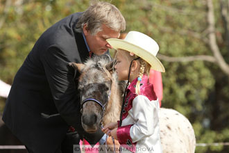 Výstava minihorse