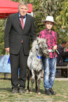 Výstava minihorse