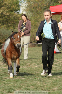 Výstava minihorse