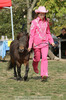 Výstava minihorse