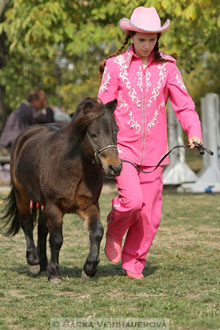 Výstava minihorse