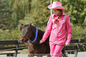 Výstava minihorse