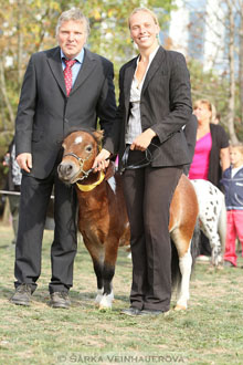 Výstava minihorse