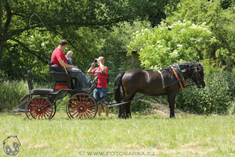 XXVI. ročník Memoriálu Jana Branče