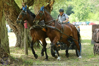 XXVI. ročník Memoriálu Jana Branče