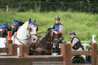 Závody spřežení Topoľčianky 2016
