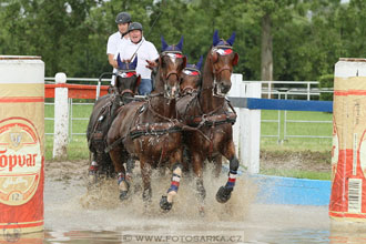 Závody spřežení Topoľčianky 2016