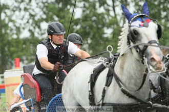 Závody spřežení Topoľčianky 2016