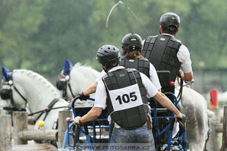 Závody spřežení Topoľčianky 2016