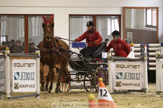 Zimní Jezdecký pohár spřežení 2016 -...