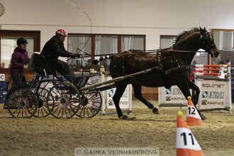 Zimní Jezdecký pohár spřežení 2016 -...