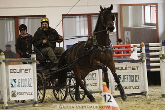 Zimní Jezdecký pohár spřežení 2016 -...