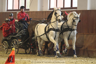 Zimní Jezdecký pohár spřežení 2016 -...