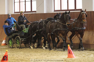 Zimní Jezdecký pohár spřežení 2016 -...