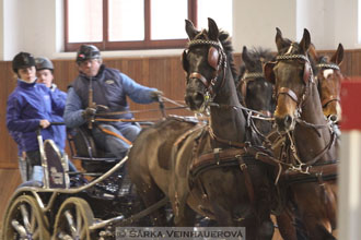 Zimní Jezdecký pohár spřežení 2016 -...