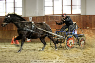 Zimní Jezdecký pohár spřežení 2016 -...