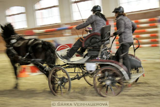 Zimní Jezdecký pohár spřežení 2016 -...