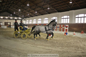 Zimní Jezdecký pohár spřežení 2016 -...