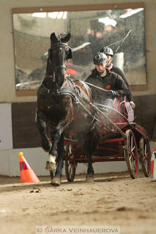 Zimní Jezdecký pohár spřežení 2016 -...